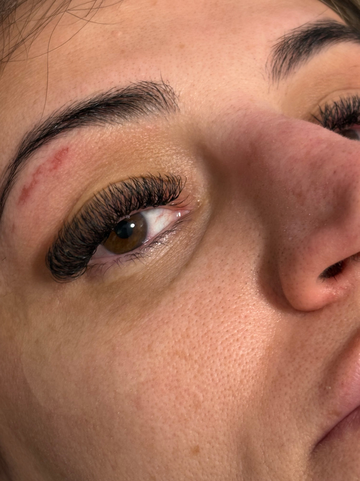 W Lashes Mixed Length Trays