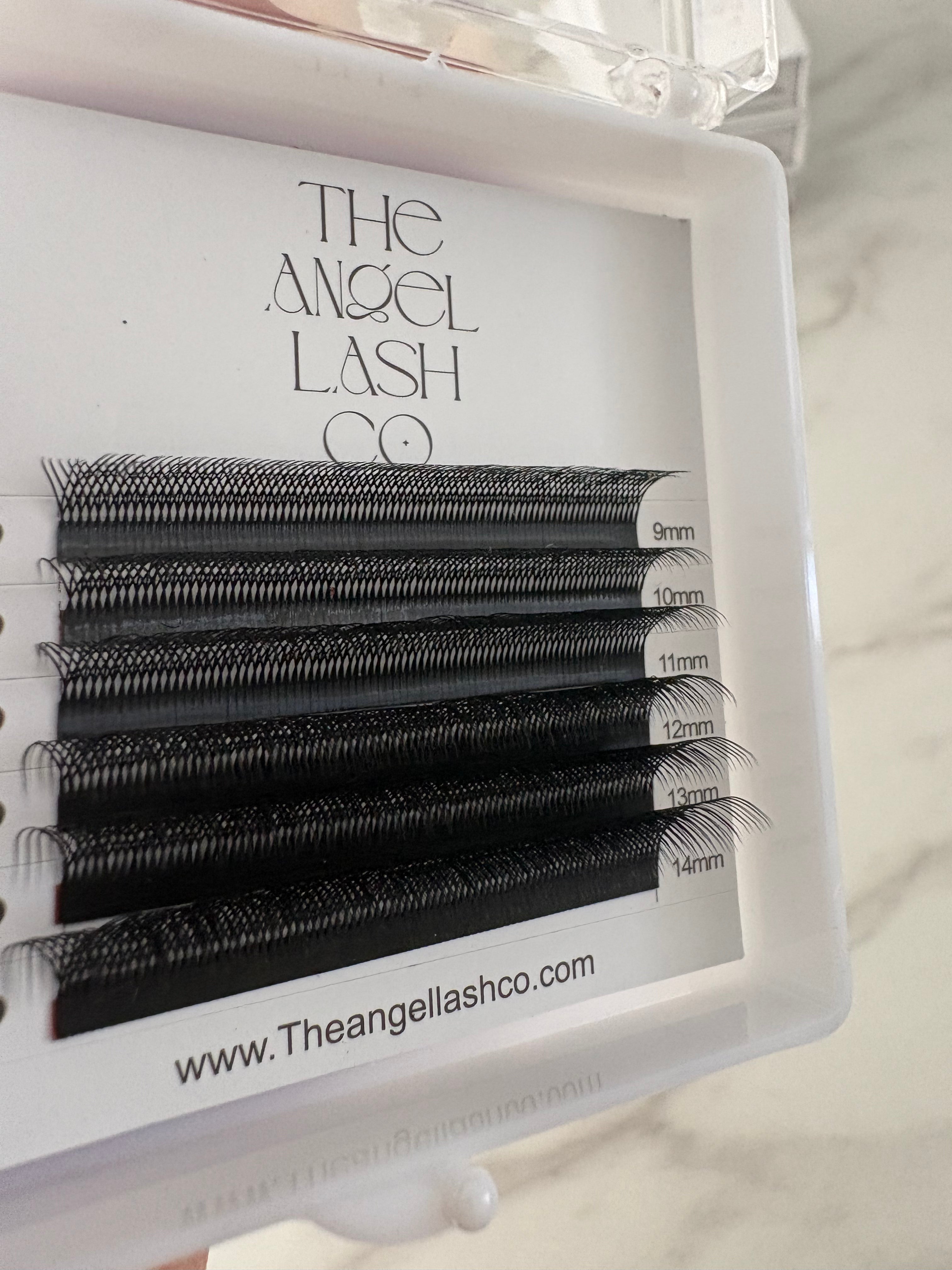 W Lashes Sample Trays