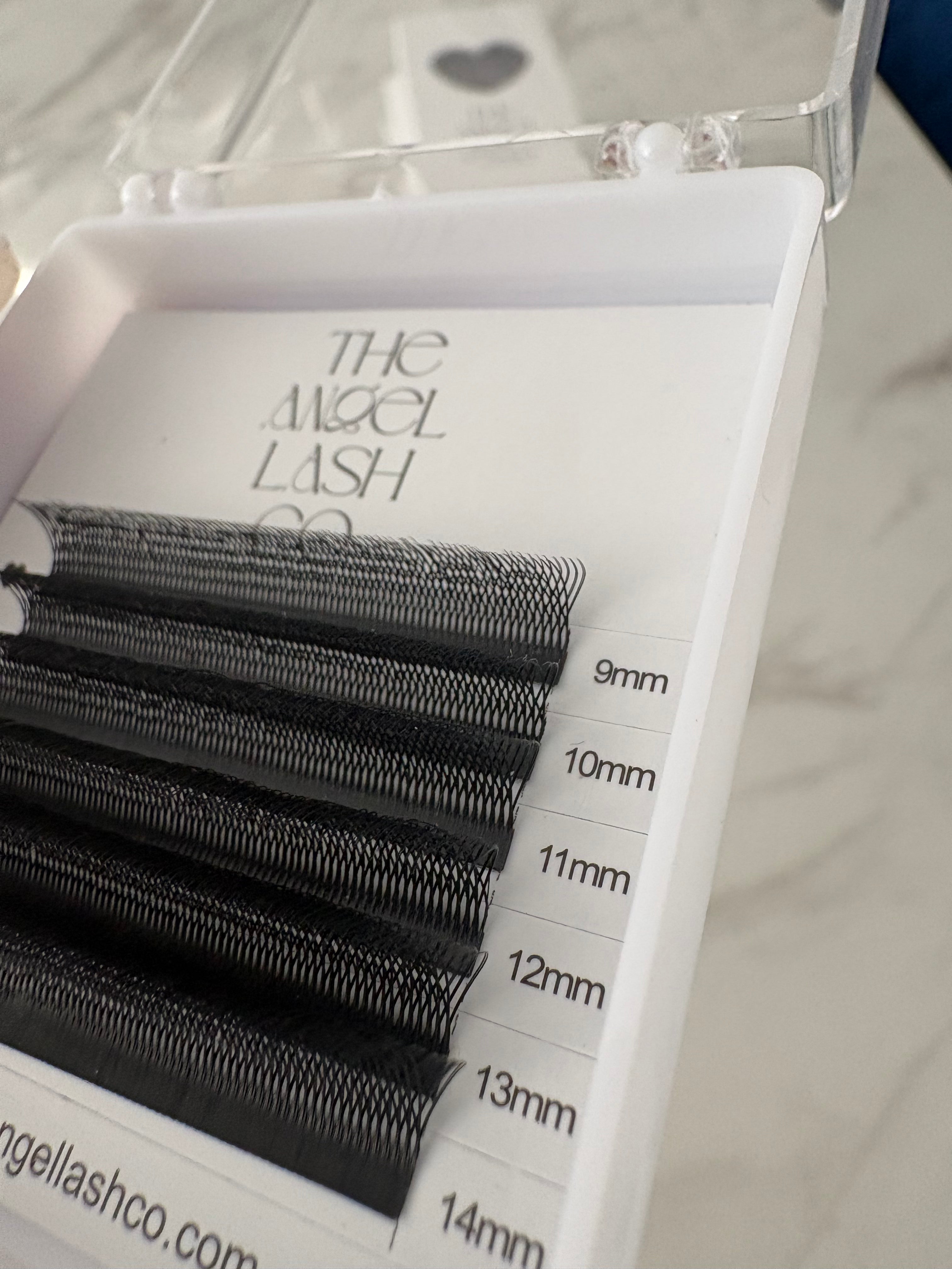 W Lashes Sample Trays