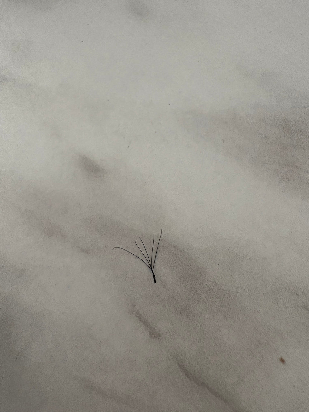 5D Clover Lashes Mixed Length Tray