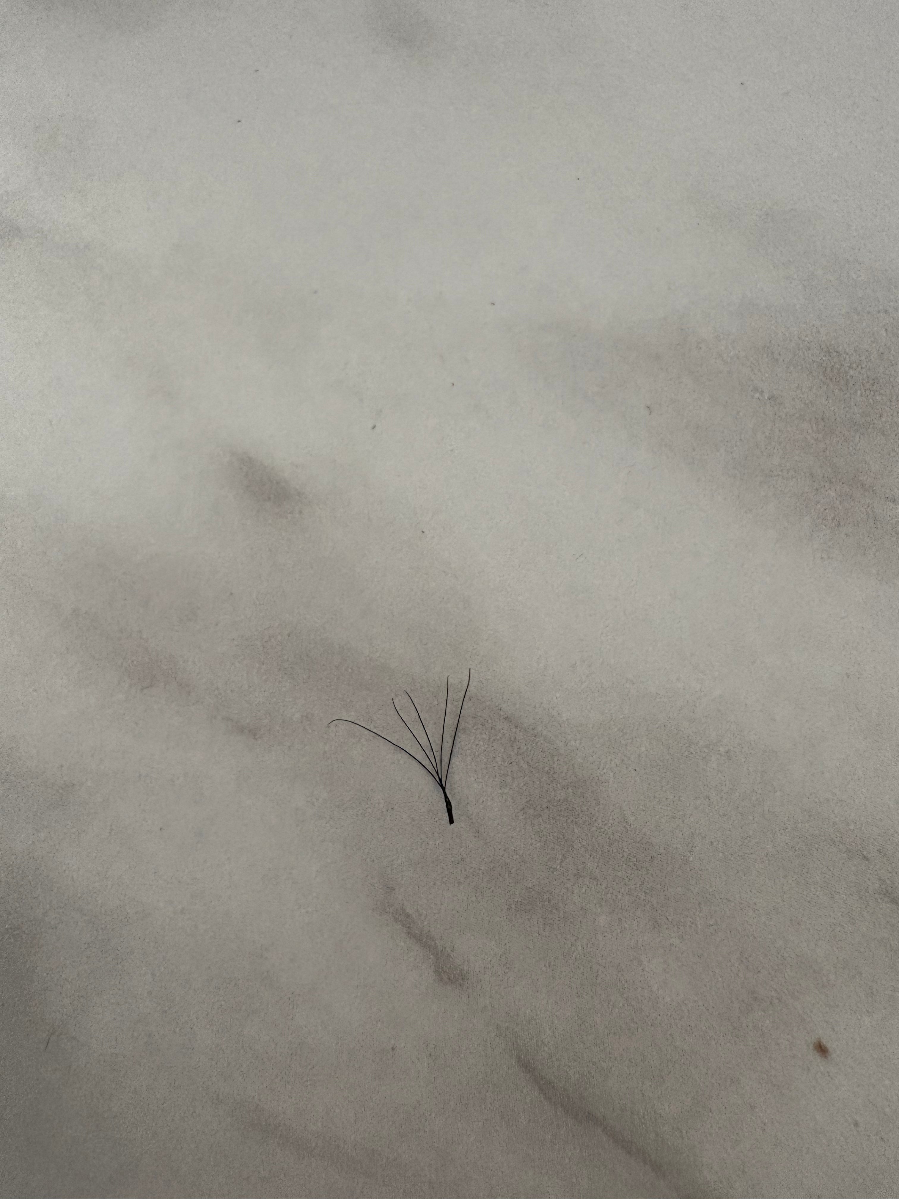 5D Clover Lashes Mixed Length Tray
