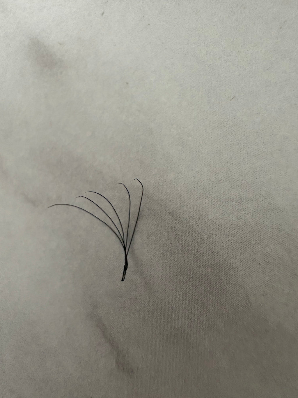 5D Clover Lashes Mixed Length Tray