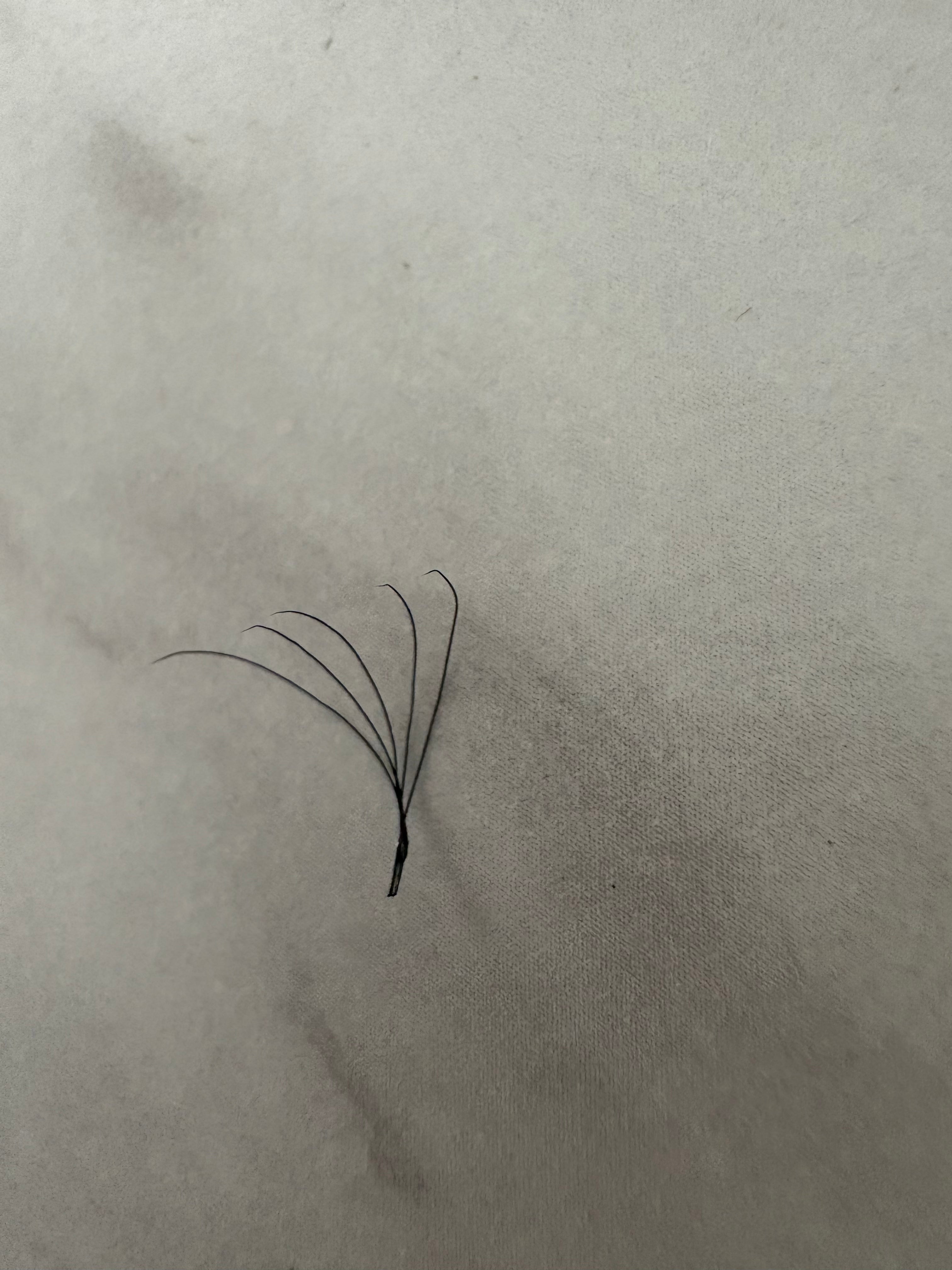 5D Clover Lashes Mixed Length Tray