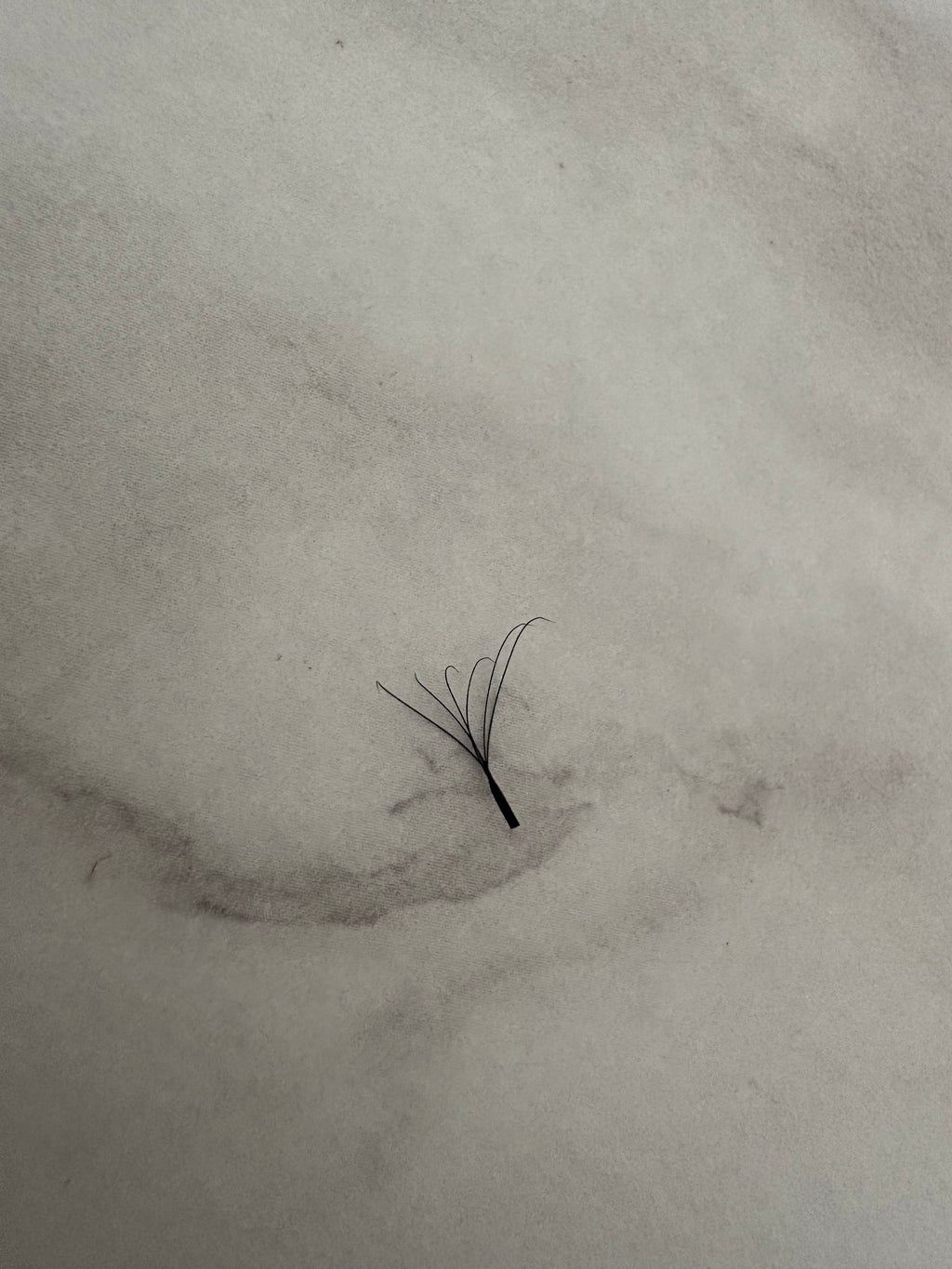 6D Clover Lashes Mixed Length Trays