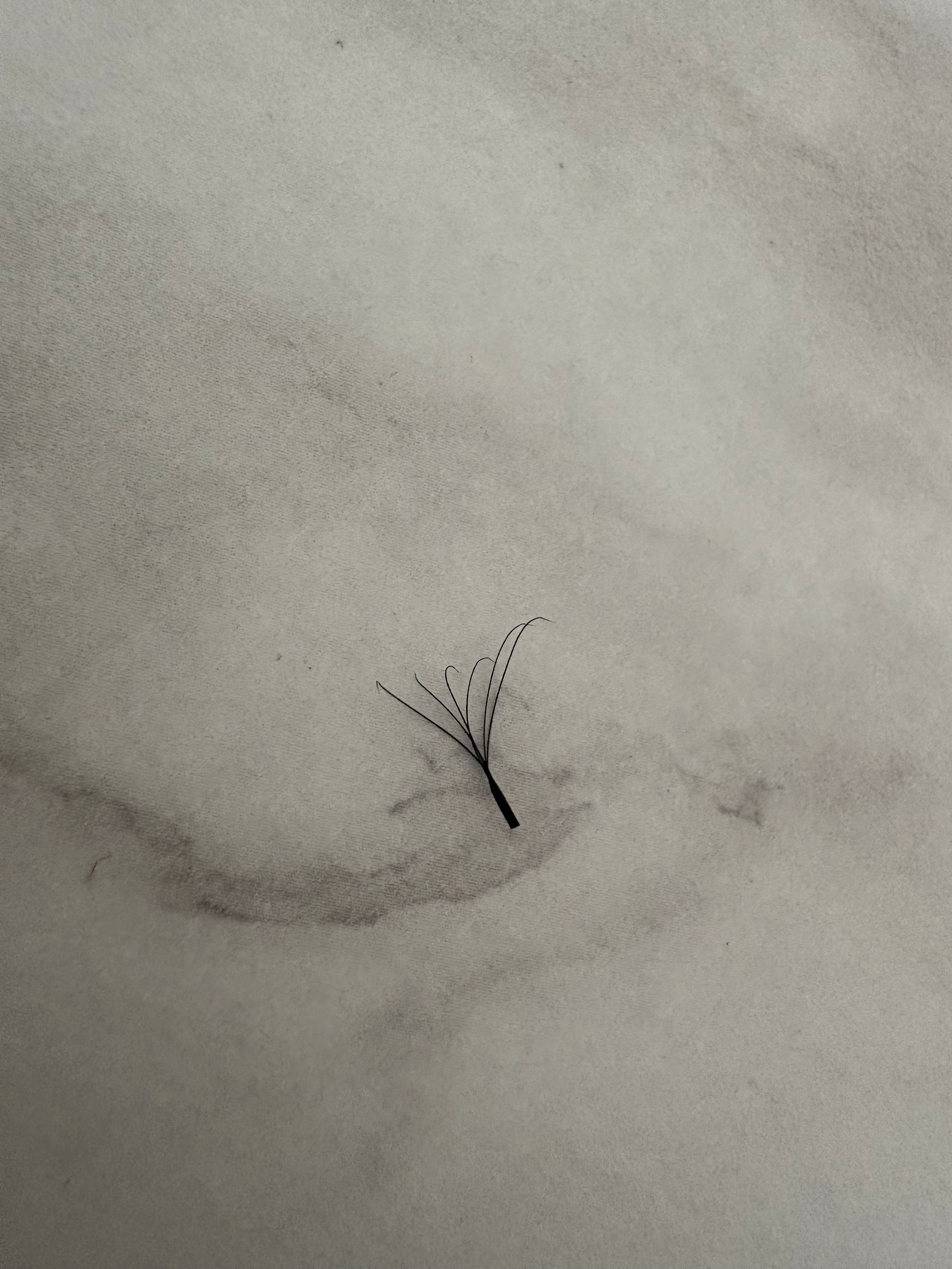 6D Clover Lashes Mixed Length Trays